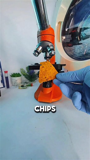 What Was Found on Expired Doritos Will Shock You 🤢🔬 l