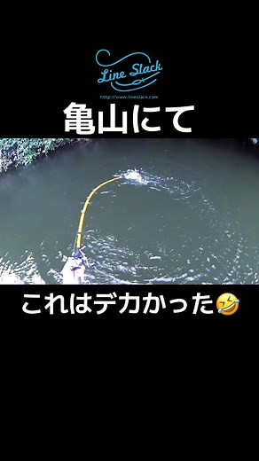 デカかったな〜💥😭 使用タックル ロッド・イエローマジック ルアー・羽ルーパービッグ #ラインスラック #topwater #bassfishing