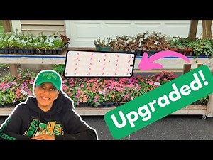 DIY Grow Lights For Seedlings & Overwintered Plants | TONYFUL || Budget Gardening