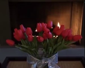 14K views · 4.1K reactions | Wishing you all a very Merry Christmas Eve. | Victoria Principal | Facebook