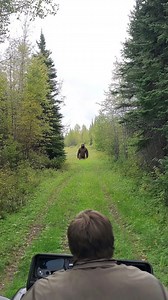 Bigfoot ATV Chase! You Won't Believe This! #bigfoot #sasquatch | Most Amazing Top 10