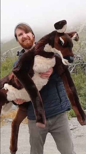 I made a life size deer doe plushie! #customplush #furry