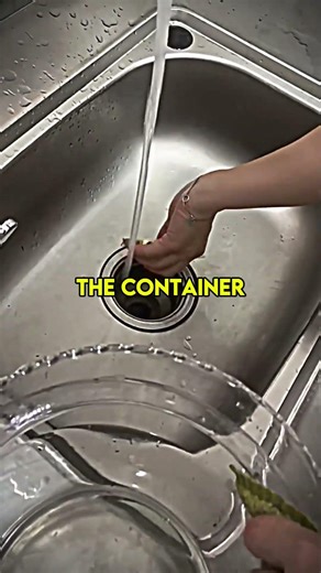 A Simple Fish Tank Cleaning Turned Into a Nightmare...