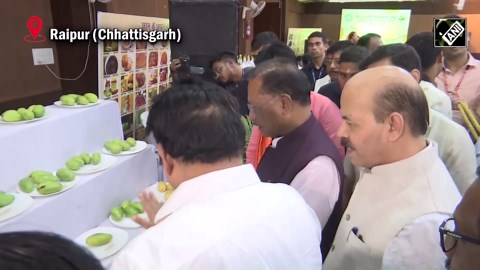 Mango Festival: 1,000 varieties on display; ‘Miyazaki’ mango worth lakhs grabs eyeballs