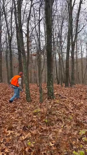 39 reactions | “Don’t even need no gun or nothin.” #jefffoxworthy #hunting #outdoors | Garrett Crocker | Facebook