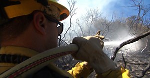 8/8: Calif. wildfire displaces hundreds; Demand spikes for bomb-sniffing dogs