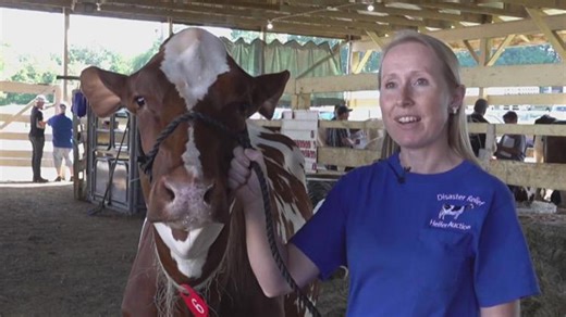 Brethren Disaster Relief auction turns bids into aid for communities in crisis