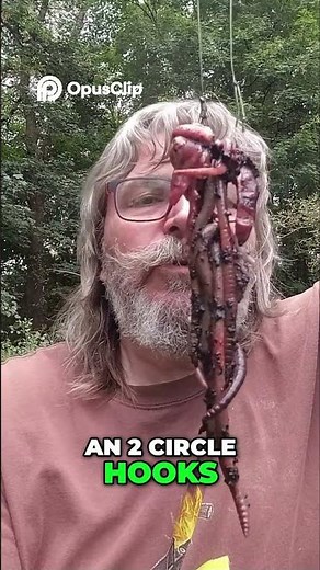 Angelköder Geheimnis: Hähnchenherz & Würmer für Waller