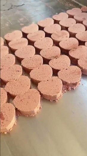 How to make protein powder to a instant drink,try this protein powder Compacting machine