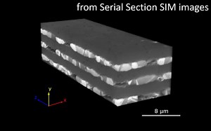 [电镜]基于序列截面SIM图像的多层陶瓷电容器（MLCC）三维重建成像_哔哩哔哩_bilibili