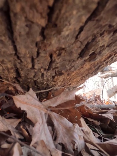 Almost smashed my GoPro