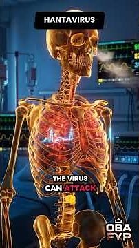 HANTAVIRUS: The Deadly Virus Hidden In Rat Droppings 😨