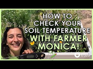 How To Check Your Soil Temperature