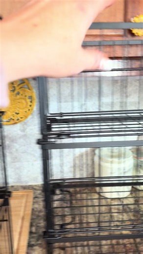 Convenient Storage Baskets for Freezer and Organizing