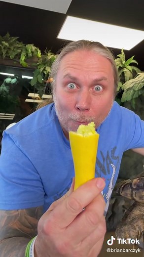 Turtle Bite Force Explained: Don't Get Your Finger Caught!