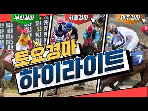 [토요경마] 2025년3월22일(서울/제주 경주영상) 오늘의 최고배당은?#서울경마#제주경마#한국마사회#경주결과