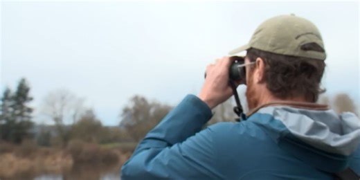 Bird Alliance of Oregon marks 100th annual Christmas Bird Count