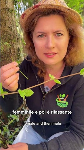 Luertis, Bruscandoli, Humulus lupulus... what do you call them? #icookwithnature #naturalwellbeing