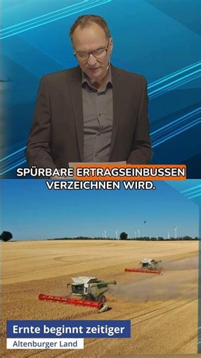 😱 Heatwave hits the harvest! What do you think? #Agriculture #Harvest