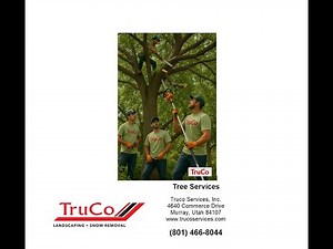 Tree Service Near Me Sandy Truco Services Inc.