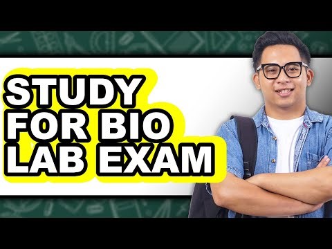 How to Study for Bio Lab Exam (Easy Method)