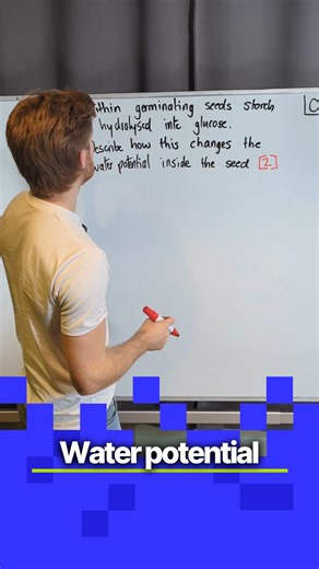 OCR A-level Biology - Water potential #joedoesbiology #myedspace #biology #alevels #myedspacebiology | Myedspace Biology
