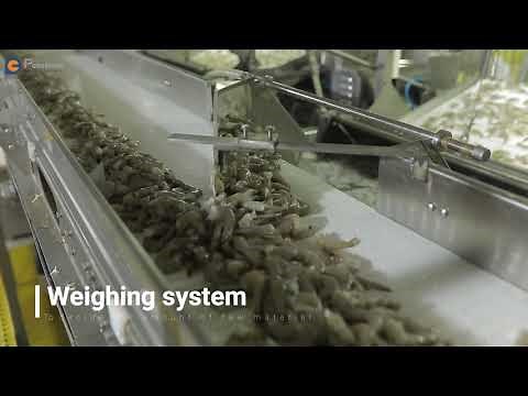 Automatic shrimp peeling system（2 unit peeler standard）the best solution for shrimp factory.