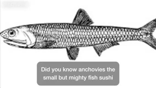 Let's take a moment to appreciate the often underestimated anchovy, recognizing its ecological importance and culinary versatility, enhancing our connection to the vast wonders of the sea. 🐟❤️ 🔖 Share your love for anchovies with these hashtags: #AnchovyLove #OceanBounty #SeaDelicacy #CulinaryTreasures 🌟 Spread the joy of anchovies by sharing this post with your friends! 📲🌊 #Anchovy #MarineLife #OceanicMarvels #CulinaryMagic #SeafoodLovers #FishFacts #Nature'sAbundance