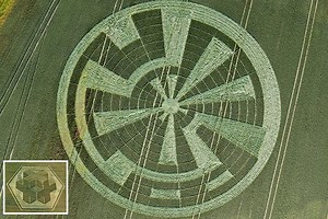 Scientist claims crop circles are hidden messages left by aliens or human time travellers