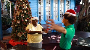 12K views · 268 reactions | Happy Holidays from your True Blue Bay...