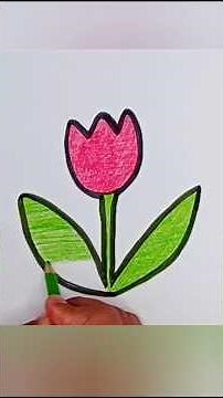 How to Draw a Tulip / Tulip Drawing Tutorial / Easy Tulip Drawing Tutorial (With Pencil)