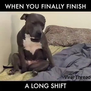 226K views · 2.1K shares | LOL! | Pink Boutique | Facebook