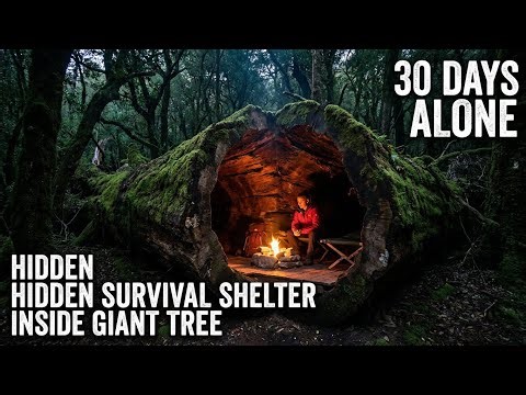 Secret Tree Shelter — I Built a Hidden Survival Home Inside a Giant Fallen Tree