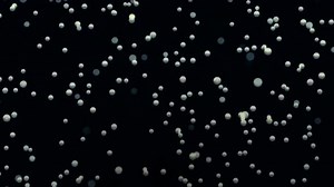 Cartoon Snow FLakes Falling Loop