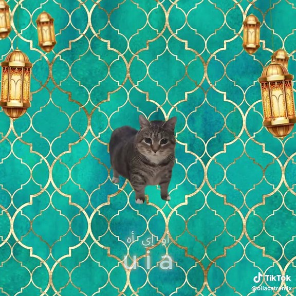 Celebrate Ramadan with Joyful Gifts and Memories