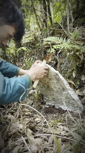 bird trap, simple bird trap, diy bird trap, survival trap, bushcraft trap, primitive trap, trapping