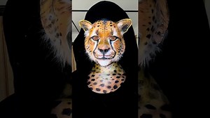 Unbelievable Cheetah Makeup