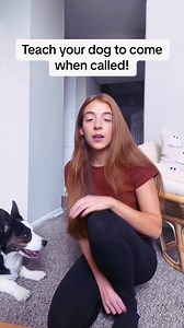 81K views · 1.2K reactions | From Problem Pup to Einstein Dog! Engaging brain games for lasting behavior change. Learn More : https://en-braintrainingfordog.com/ | We Dog Trainer | Facebook