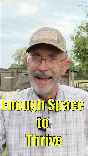 The Sweet Spot for Homesteading (How Much Land You Really Need)