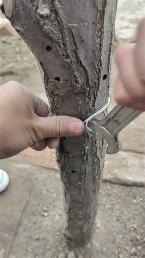 Professional Wire Tensioning Trick