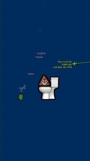 화장실 고장난 채 15시간을 날아온 비행기