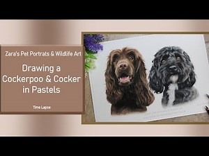 Cocker Spaniel & Cockerpoo Drawing in Pastels | Pet Portrait