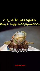 Mr creation on Reels