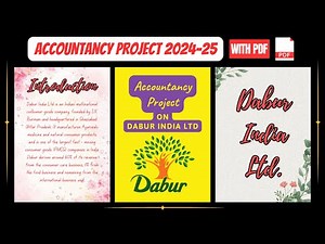 Accountancy Project on Ratio Comparative & Common Size Statement Dabur Ltd 2024-25 || class 12 PDF