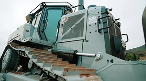 20K views · 255 reactions | Nothing says 100 years quite like this beauty. | Hawthorne Cat | Facebook