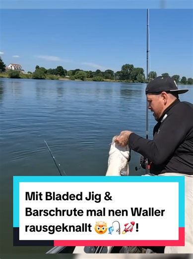 Beifang beim Angeln: Waller und Barsche im Fokus