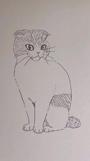 猫の描き方とアナログイラスト技法