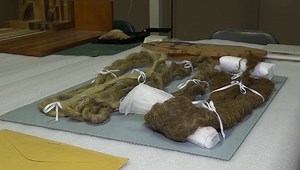 Longest beard in history belonged to North Dakota man