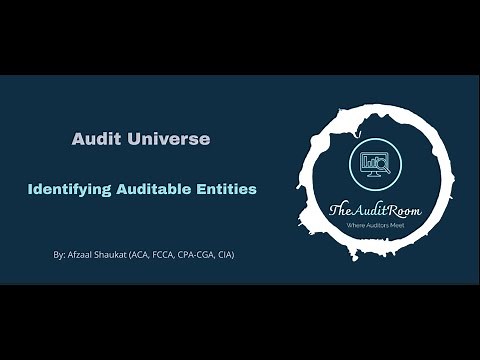 Developing an Audit Universe - Part 1: Identifying Auditable Entities