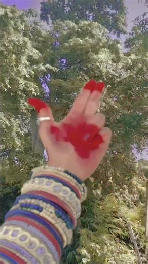 hand dance shorts video